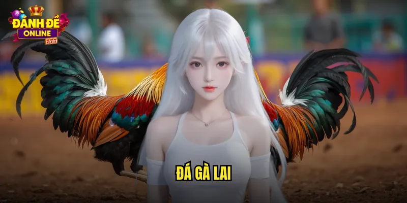 đá gà lai