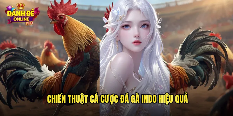 Đá Gà Indo Đánh Đề Online Gà Chiến Indonesia Dũng Mãnh 3 Chiến thuật cá cược đá gà Indo hiệu quả