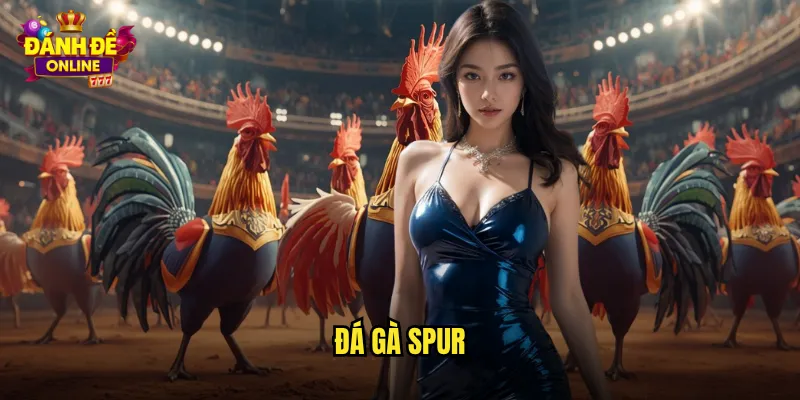 Đá Gà Spur Đánh Đề Online Đá Gà Gắn Cựa Sắt Kịch Tính Cao 10 đá gà spur