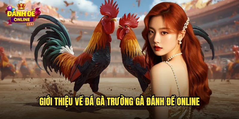 Đá Gà Trường Gà Đánh Đề Online Sân Chơi Đẳng Cấp Quốc Tế 2 Giới thiệu về đá gà trường gà đánh đề online
