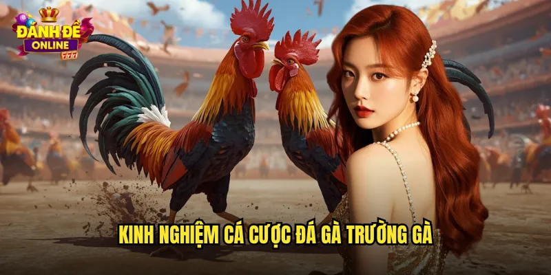 Đá Gà Trường Gà Đánh Đề Online Sân Chơi Đẳng Cấp Quốc Tế 3 Kinh nghiệm cá cược đá gà trường gà