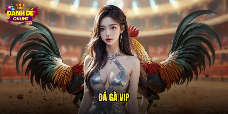 Đá Gà VIP Đánh Đề Online Phòng Chơi Cao Cấp Cho Đại Gia 7 đá gà VIP