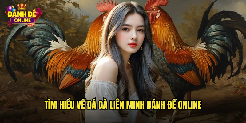 Tìm hiểu về đá gà liên minh đánh đề online