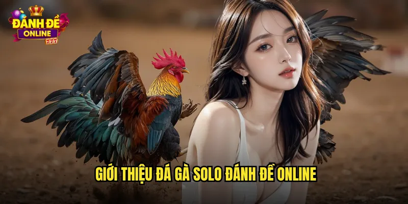 Đá Gà Solo Đánh Đề Online Trận Đấu Một Chọi Một Kịch T tính 2 Giới thiệu đá gà solo đánh đề online