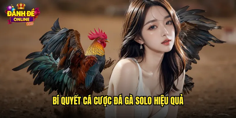 Đá Gà Solo Đánh Đề Online Trận Đấu Một Chọi Một Kịch T tính 3 Bí quyết cá cược đá gà solo hiệu quả