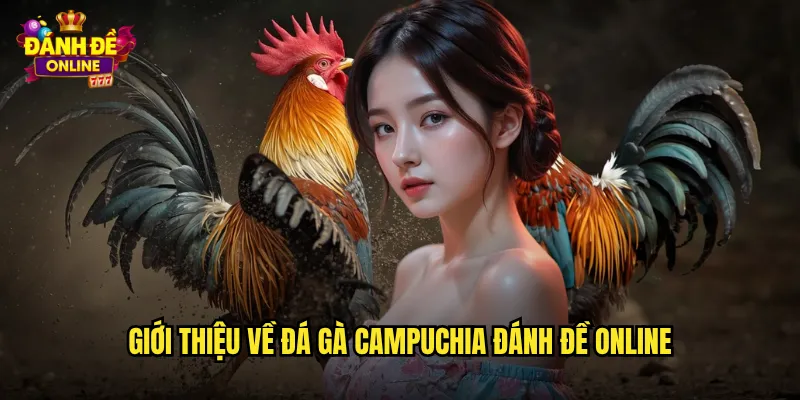 Đá Gà Campuchia Đánh Đề Online Gà Chiến Campuchia Đẳng Cấp Cao 2 Giới thiệu về đá gà Campuchia đánh đề online
