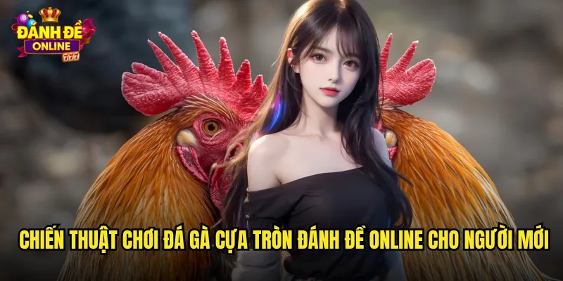 Đá Gà Cựa Tròn Đánh Đề Online Nơi Hội Tụ Cao Thủ Cá Cược 3 Chiến thuật chơi đá gà cựa tròn đánh đề online cho người mới