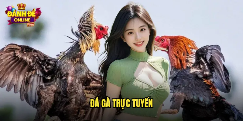 Đá Gà Trực Tuyến Đánh Đề Online Phát Sóng Trực Tiếp Mọi Trận Đấu 1 đá gà trực tuyến