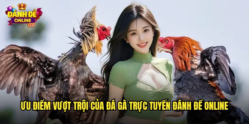Đá Gà Trực Tuyến Đánh Đề Online Phát Sóng Trực Tiếp Mọi Trận Đấu 2 Ưu điểm vượt trội của đá gà trực tuyến đánh đề online